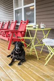 Gambo Pond Cottage - Image 4