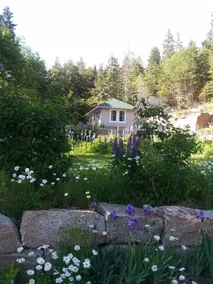 Stonington Harbor Cottage - Image 2