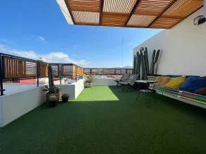 Alebrije Loft, Center of the City, ”Merced house” - Image 5