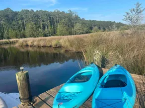 Waterfront. Private Dock for Boat. Pet-friendly. 10 mins to Downtown Oriental.  - Image 4