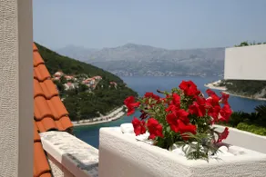 Apartment Maestral, Pucisca ,Island Brac - Image 2