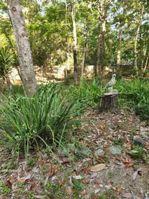 Quiet & Secluded 1 bedroom Apt w/ hot tub - Image 5