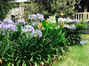 Idyllic Woodstock - Image 3