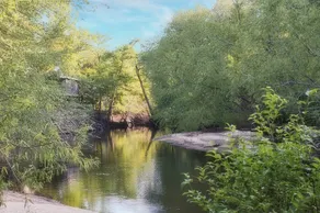 Cabin near the Ohoopee River - Image 2