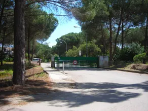 The House Among the Pines - Image 4
