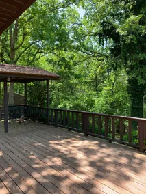 Cozy Cabin, private getaway on Bull Shoals Lake. - Image 3