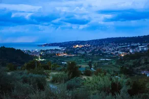Apartment among the olive trees below - Image 3
