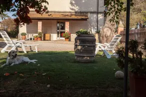 Countryside apartment with garden - Image 5