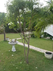 Quiet Oasis Near Beach and City - Image 2