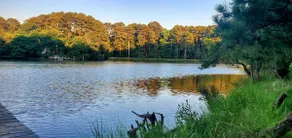 Secluded Waterfront:Kayaks, Sunrises & Unwind - Image 3