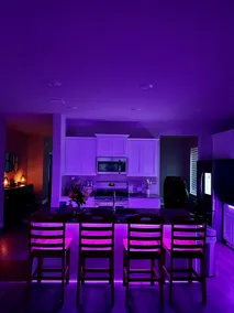 Skylines : Stunning New Luxury Home. - Image 2