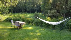 Beautiful studio surrounded by nature - Image 3