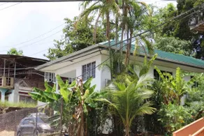 Balata Tree House -Historic house, tropical garden - Image 2