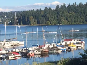 Kinglet Cottage - Bright and Sunny Lake View! - Image 4