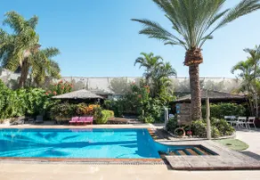 Heated Pool & Banana Plantation with \"really heated\" long pool. Private solarium - Image 4