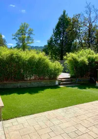 Pool house suite near redwoods - Image 3