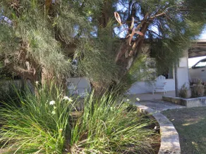 Family friendly house near the beach - Image 3