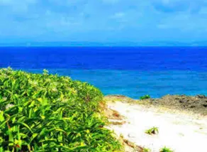NOW ON SALE Small pets allowed! - Ocean view! 2-story house for rent! - Image 2