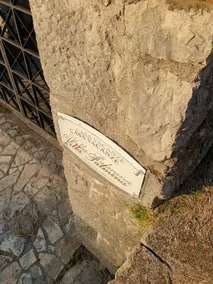 Villa Palmina - Image 4