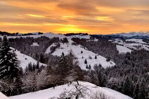Recreation and silence with a view over the Alps - Image 3