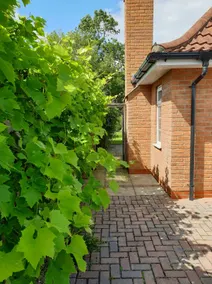 Perfect Cottage Retreat i Lincolnshire landsby! - Image 2