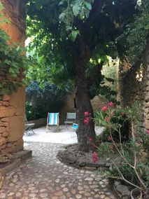 Le Patio du Mûrier - Image 2