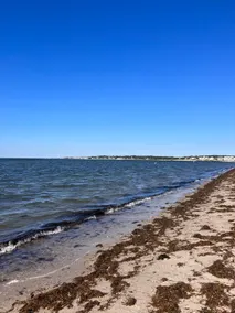Entire House • Hyannis • Across from the Beach - Image 2