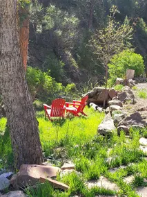 Amazing Rustic Log Cabin w/stream - Image 4