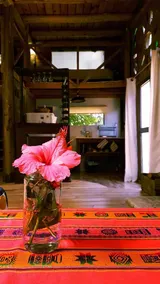 A living house in native forest near the beach - Image 5