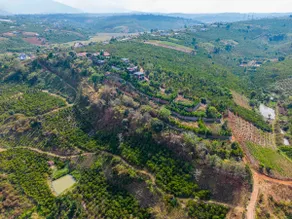 Hilltop Valley Bungalow Di Linh- Garden Hill - Image 2