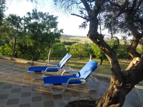Cal Dimoni Petit. Nature near the sea. - Image 2