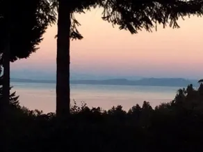 Forest by the Sea Rentals - Image 2