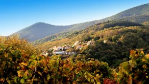 Alsace Panorama - Image 4