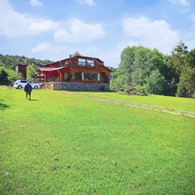 Bolu Petunya Forest House - Wooden villa in the forest - Image 3