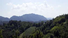 Green Peak - Image 3