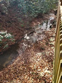Cottage on the Creek. Smokie Mtn - Image 5