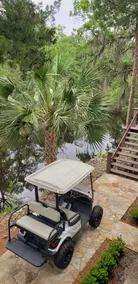Tropical oasis - Image 2