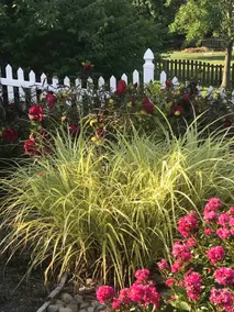 Fenton Oasis - Image 4