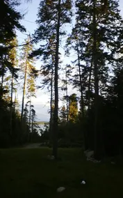PINEHILL COTTAGE - Quiet Woodland Retreat - Image 2