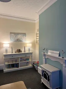 The laughing seagull - Image 3