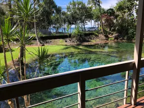 Wai 'Olena - ”Healing Ponds” - Image 3