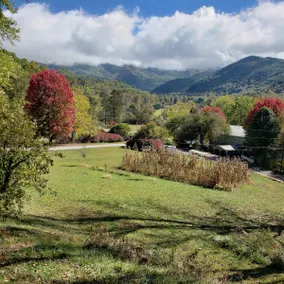 Mill Creek Cottage, great view 0 cleaning fee - Image 2