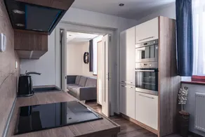TATRYSTAY Tatrahouse Luxury Apartment - Image 4