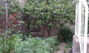 Apartment Prunus - Image 4