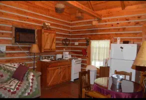 Cozy Cabin minutes from Ocoee and Hiwassee Rivers - Image 2