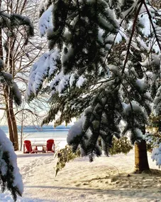 Don’t miss fall colours- Sunny 3 bdrm Golden Lake - Image 3