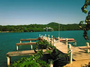 Mangrove Dock - Image 3