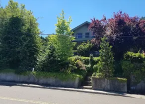 The Dr. J. R. Chapman Home - Image 2