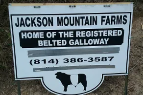 Jackson Mountain Getaway - Image 2