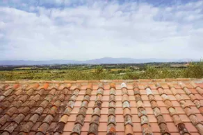 Stunning cottage on the Tuscan hills - Image 4